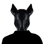 Mask